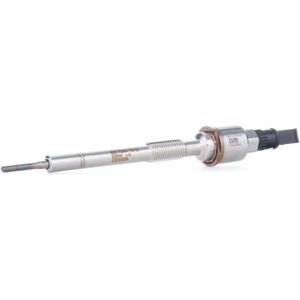 Borgwarner Beru PSG004 - Gloeibougie - Voor Nagloeien Geschikt - 4,4 Volt - 168 mm