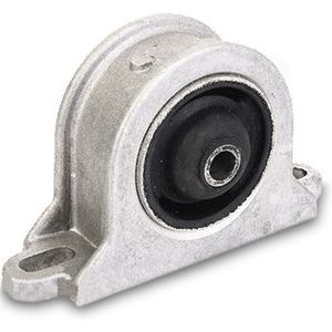 SWAG Ophanging, verdeeldifferentieel VW,AUDI,SKODA 30 10 4444 1J0199555AP,1J0199555AQ