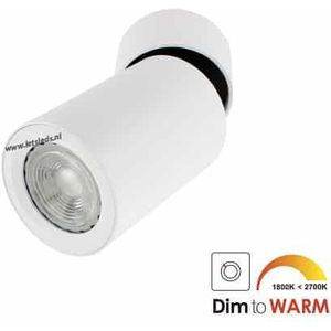LED opbouwspot Malta 7Watt rond kantelbaar WIT dimbaar