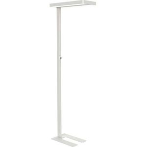 Vloerlamp MAUL Javal LED dimbaar wit hoog 195cm