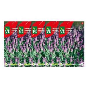 Lavendel zaad | VT | 5 stuks