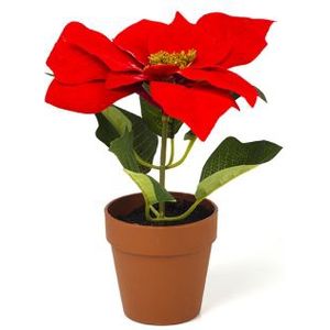 Kunstplant Kerstster | Everlands | 20 cm (In pot, Ø 18 cm)