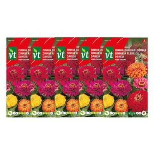 Bloemzaden zinnia | VT | 5 stuks (Gemengd)