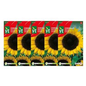 Bloemzaden zonnebloem | VT | 5 stuks