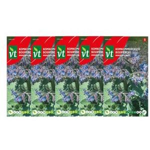 Komkommerkruid zaad | VT | 5 stuks