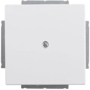 Blindplaat | Busch-Jaeger | Future Linear (Wit)