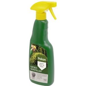 Pokon buxus groen (Gebruiksklaar, 500 ml)