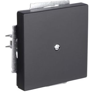 Blindplaat | Busch-Jaeger | Future Linear (Zwart)