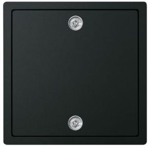 Blindplaat | Busch-Jaeger | Future Linear (Zwart)