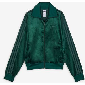adidas  Jacket Fz Adicolor Velvet Groen Dames