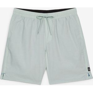 Vans Short Board Primary Solid Elastic  Lichtblauw  Heren