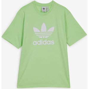 adidas  Tee Shirt Trefoil Adicolor Vert Heren