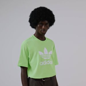 adidas  Tee Shirt Trefoil Adicolor Groen Heren