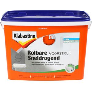 bodem Bonus lichten Alabastine Voorstrijk kopen? | Ruim assortiment, laagste prijs | beslist.nl