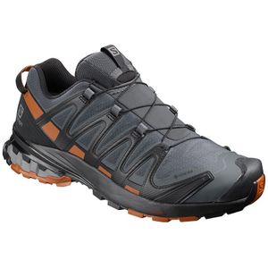 Salomon XA Pro 3D v8 GTX lage wandelschoen heren