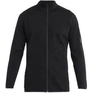 Icebreaker Real Elemental II Fleece heren