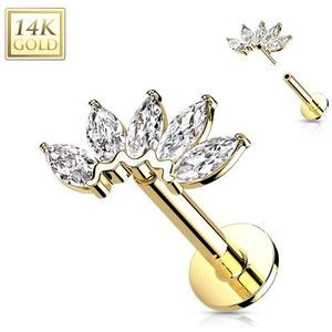 Piercing 14kt goud 5-Marquise CZ Fan