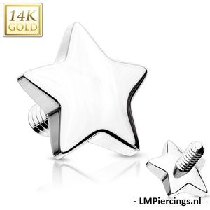 Dermal top ster 14kt wit goud 1.6mm