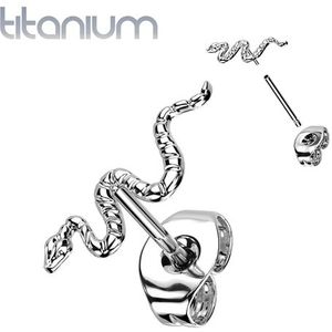 Oorbellen titanium snake push in