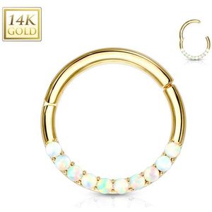 Piercing 14kt opal lined steentjes