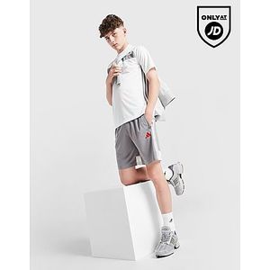 adidas Tiro 25 Shorts Junior, Grey