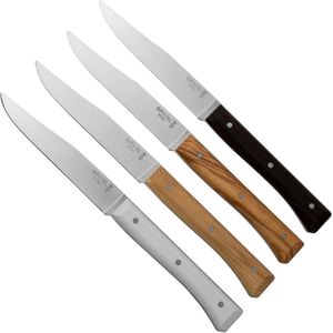 Opinel Facette Tafelmessenset – 11 cm – 4-delig – Panaché – Assorti