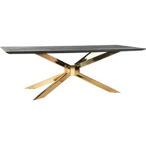 Richmond Interiors Blackbone Matrix Eettafel Goud 240x100