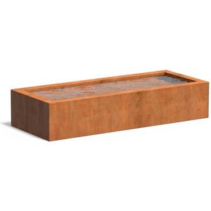 Cortenstaal vijverbak 200x80x40cm.
