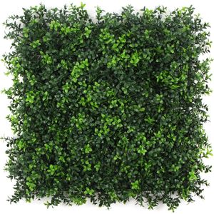 Kunstplantenwand FOLY Summer Buxus 1 m2