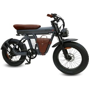 Diablo Fat Boy - Fatbike - Grijs