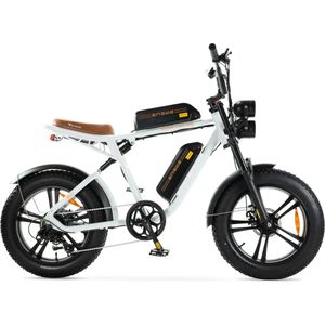 ENGWE M20 - Dubbele Accu - Wit