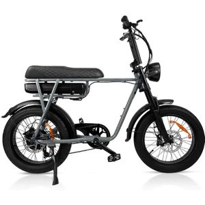 EB2 - Fatbike - Grijs - 250W - Elektrische Fatbike