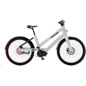 KNAAP LAX - Ebike - Grijs