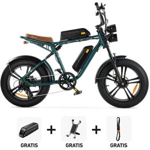 Combi-Deal! | ENGWE M20 - Dubbele Accu - Groen