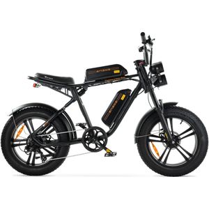 ENGWE M20 - Fatbike - Dubbele Accu - Zwart