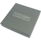 Life Charms Ketting met Giftbox Silver 2 Layer Crystal Bar
