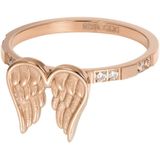 iXXXi Vulring Wings Rosé Goud