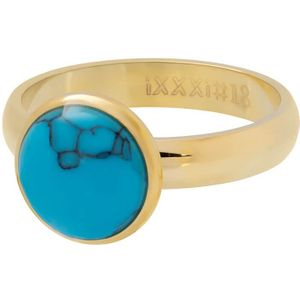 iXXXi Vulring Blue Turquoise Stone Goud | Maat 21