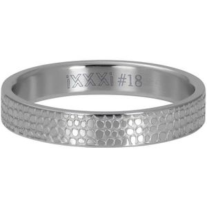 iXXXi Vulring Giraffe Zilver