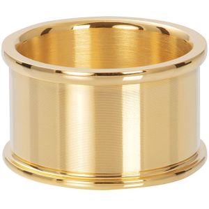 iXXXi Basisring 12 mm Goud