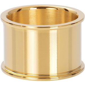 iXXXi Basisring 14 mm Goud