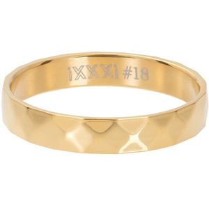 iXXXi Vulring Facet Steel Goud