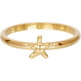 iXXXi Vulring Symbol Sea Star Goud