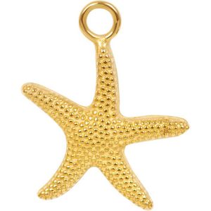 iXXXi Charm Sea Star Goud