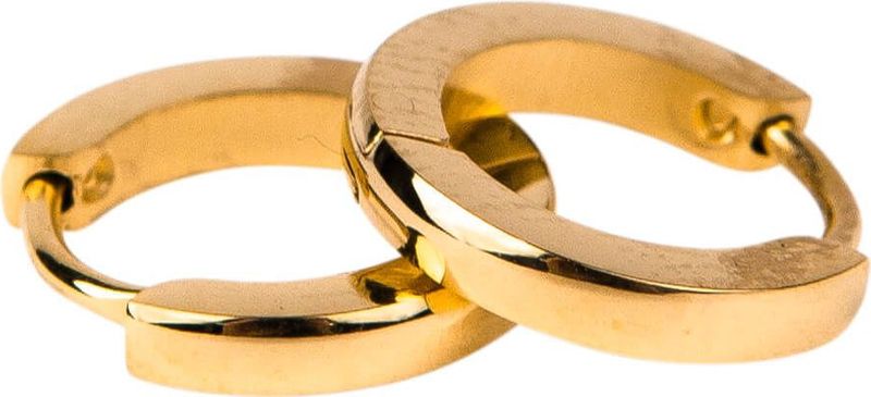 Kalli Oorringen Bolle Buis Goud 0.9 cm | 1829