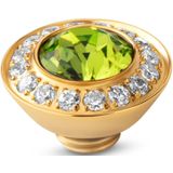 Melano Vivid Radiant Steentje Citrus Green | Goud