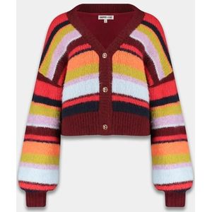 Harper & Yve - Noor - Vest - Multicolor