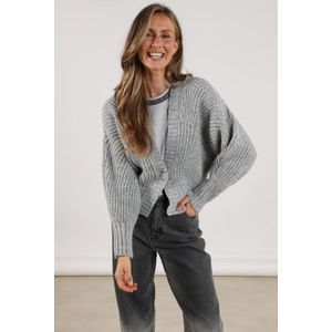 Nukus Jolijn Cardigan | Light grey