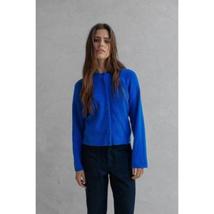 PENN&INK N.Y. Vest W25B345 | Blauw