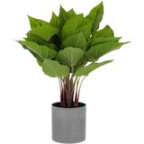 Kave Home Anthurium, Kunstplant anthurium 50 cm